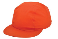 Oranje (PMS 165C) / Oranje